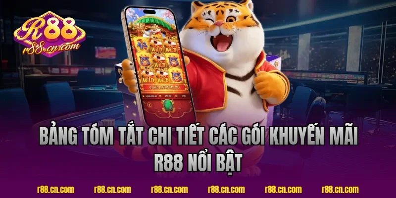 Bảng Tóm Tắt Chi Tiết Các Gói Khuyến Mãi R88 Nổi Bật