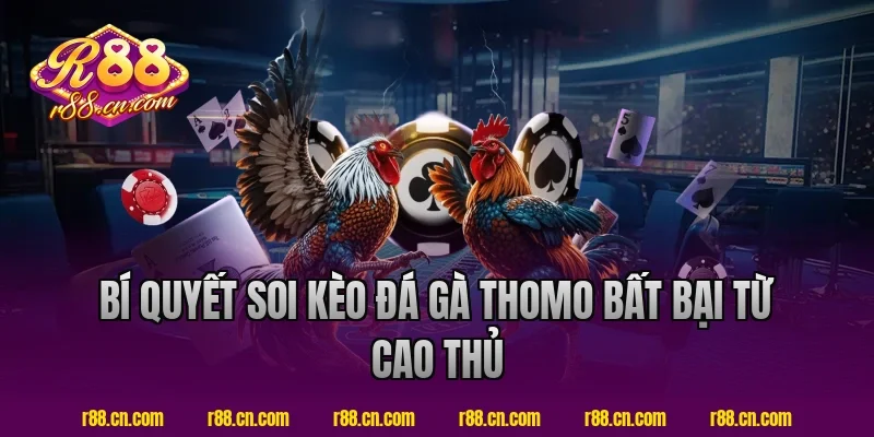 Bí Quyết Soi Kèo Đá Gà Thomo Bất Bại Từ Cao Thủ R88