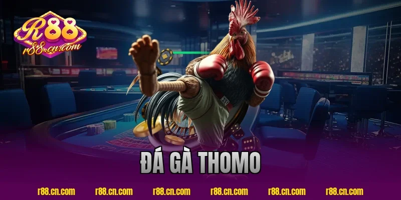 đá gà thomo
