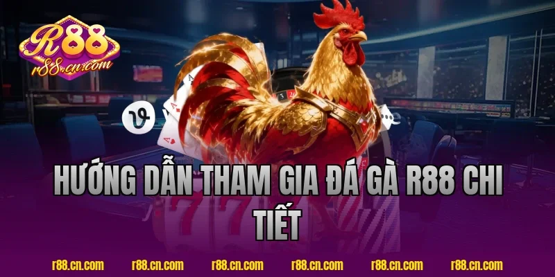 Hướng dẫn tham gia đá gà R88 chi tiết
