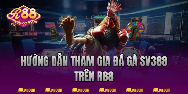 Hướng dẫn tham gia đá gà SV388 trên R88