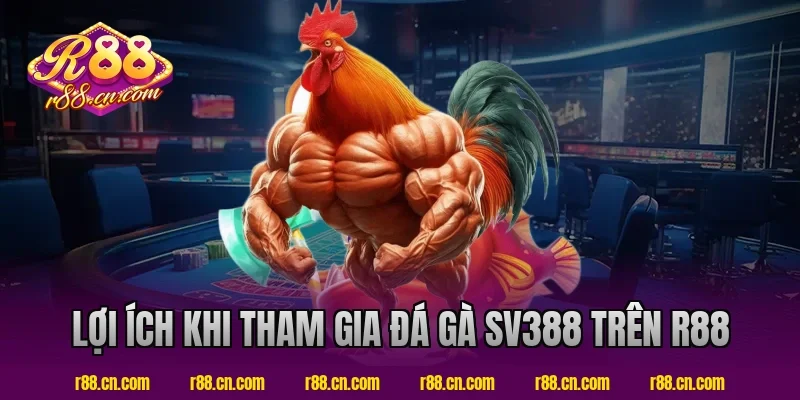 Lợi ích khi tham gia đá gà SV388 trên R88