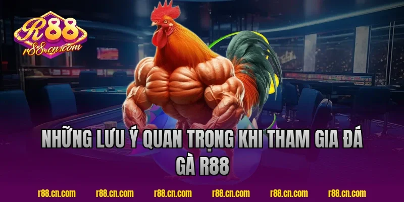 Những lưu ý quan trọng khi tham gia đá gà R88