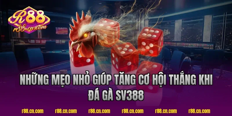 Những mẹo nhỏ giúp tăng cơ hội thắng khi đá gà SV388 tại R88