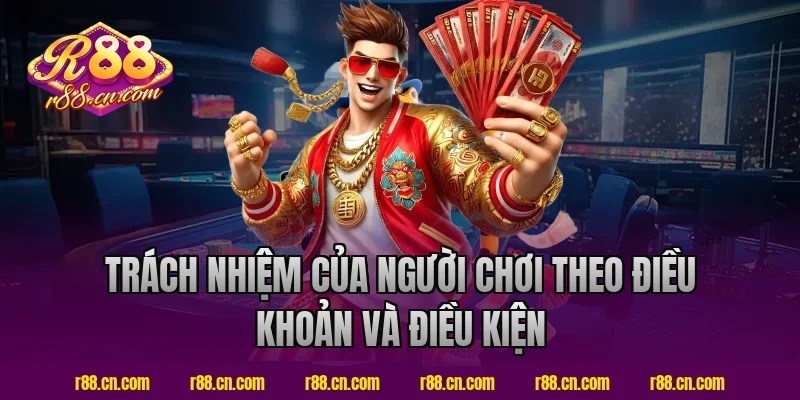 Trách Nhiệm Của Người Chơi Theo Điều Khoản Và Điều Kiện R88
